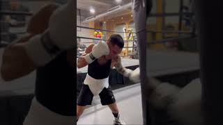 OSCAR VALDEZ  THROWING BEAUTIFUL HOOKS ON HEAVY BAG [upl. by Haididej934]