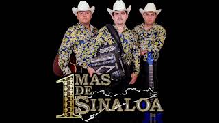 Los empacadores  1Mas de Sinaloa [upl. by Niawat]