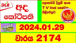 Ada Kotipathi 2174 20240129 Lottery Results Lotherai dinum anka 2174 DLB Lottery Show [upl. by Oswell354]