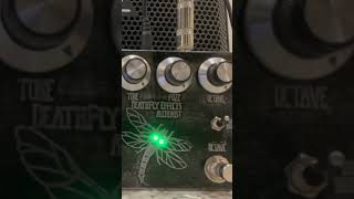 The Simpsons theme song Agile guitarDeathfly Effects Alchemist octave fuzz pedal [upl. by Stets]