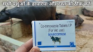 Use vetenary MARCOPRIM  Cotrimoxazole Tablets IP पशुओं को MARCOPRIM tablets कब देते हैं [upl. by Revkah]