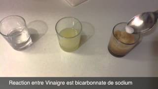 Reaction Entre Bicarbonate De Sodium Est VinaigreAcide Et Citron [upl. by Nerty]