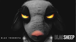 Blac Youngsta  Blac Sheep Official Visualizer [upl. by Salta]