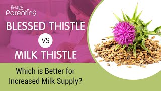 Blessed Thistle or Milk Thistle for Increasing Milk Supply  What to Choose [upl. by Lammaj]