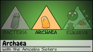 Archaea [upl. by Bergeman865]