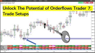 Unlock The Potential of Orderflows Trader 7 Trade Setups [upl. by Ggerk]