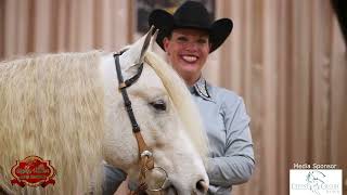 2024 Gypsy Vanner National Championships DAY4 RECAPWestern Pleasure Ranch Riding Horsemanship [upl. by Neddy]