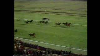 1975 Ayr Gold Cup [upl. by Otrevire417]