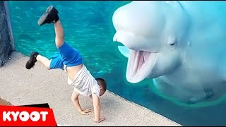 Beluga Whale is AMAZED by Tricks  Funny Aquarium Videos [upl. by Bryan]