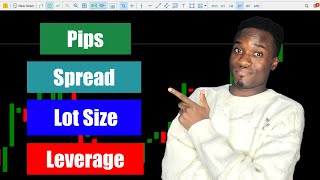 Understanding Pips Spread Lot Size and Leverage in Forex Trading Forex Beginners Guide [upl. by Schatz201]