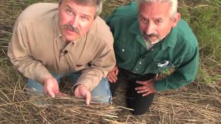 Soil health lesson in a minute discover the cover [upl. by Kapoor]