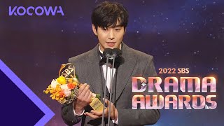 Ahn Hyo Seop wins the Male Top Excellence Award l 2022 SBS Drama Awards Ep 2 ENG SUB [upl. by Eiruam]