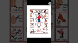 Body Parts Name Hindi in English  Important Education [upl. by Nyladnarb]