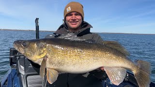 Sniping Giant Green Bay Walleyes With Livescope 30 incher and 60 Fish Day [upl. by Iruy]