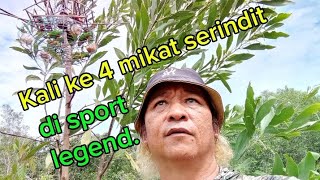 bukan mudah jinakan burung serindit di port legend tompinai [upl. by Nalliuq]