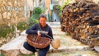 French Village life Furniture Makeover Harvesting Chestnuts amp enjoying warm autumn in South [upl. by Lierbag]