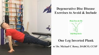 Degenerative Disc Disease Exercises to Avoid amp IncludeOne Leg Inverted Plank [upl. by Henry570]