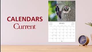 Current Wall Calendars [upl. by Legnaesoj655]