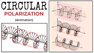 Circular Polarization  Circularly Polarized Electromagnetic Wave Animation [upl. by Ramunni]