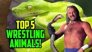 Jake the Snake Roberts Vs Top Five Animals in Pro Wrestling [upl. by Sirrap]