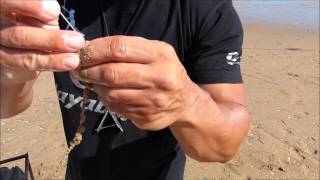 PESCA SURFCASTING HUMBERTO GACIO DAIWA HAYABUSA TUTORIAL DE CEBOS quotGUSANA CATALANAquot [upl. by Sluiter]