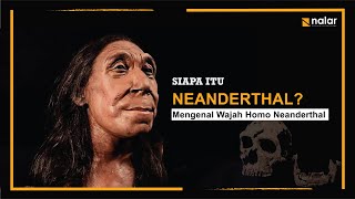 Homo Neanderthal Mengenal Kerabat Dekat Homo Sapiens [upl. by Louie]