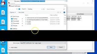 Installation and usage of PGP with Kleopatra and Microsoft Outlook [upl. by Neel25]