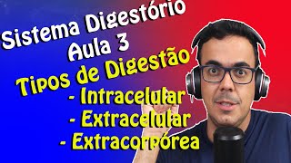 Digestão Aula 3  Tipos de Digestão Intracelular Extracelular e Extracorpórea [upl. by Barna873]