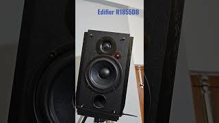 Edifier R1855DB Powereed Bookshelf Speakers are hard to beat edifier bookshelfspeaker [upl. by Armbruster]