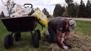 Planting a Cotoneaster Hedge  Season 2021 Episode 19 [upl. by Leirej]