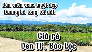 Bán vườn veiw tuyệt đẹp Diện tích 4970m2 đường bê tông tới đất Cách trung tâm TP Bảo Lộc 15km [upl. by Amisoc]