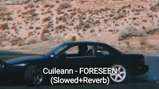 Cuileann  FORESEEN SlowedReverb [upl. by Sheila181]