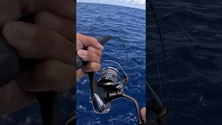 This Fish Could Pull Offshore Key West Fishing epic deepwater fishing keywest florida [upl. by Hafinah]