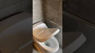 TOTO Review Best Washlet Toilet Bidet Warm Seat Bathroom Design Ideas Redesign Toilet Seat WC Inspo [upl. by Aerdna497]