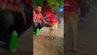 3b2 Market Mohali punjabivlogger ytshorts viralshort mohali streetdog doglover [upl. by Killoran]