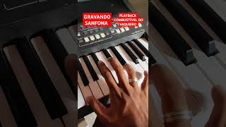 GRAVANDO SANFONADO 🎹 forrozeando playback karaoke sanfona forrozão viralizando viralvideo [upl. by Barling]