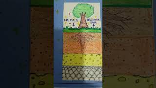 Layers Of Soil Activity Soil Idea Formation DIY Land  SST  Earth Craft shorts [upl. by Dasie]