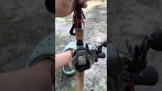 Review on the g loomis GCX rod and shimano scorpion reel [upl. by Refinnaej]