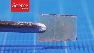 This new material heals—not cracks—under pressure [upl. by Rochester]