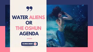 The Oshun Agenda Collective Narcissism in Today’s Society MarineKingdom [upl. by Avlasor399]