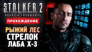 СТРЕЛОК РЫЖИЙ ЛЕС И ЛАБА Х3  Прохождение  STALKER 2 Heart of Chornobyl 10 [upl. by Enirahtac]