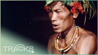 The Sakuddei Indonesias Threatened Tribe  Disappearing World [upl. by Esbensen728]