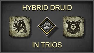 I ran hybrid druid in trios and got SAUCE [upl. by Yllitnahc774]