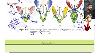 Morphology of flowering plants part 4  Class 11  The Flower  NEET [upl. by Ahsinel]