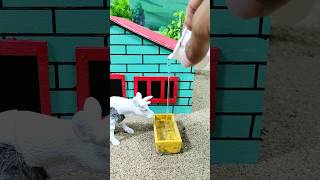 DIY Diorama Mini Farm  House And Cow diy diorama farm farmer farming [upl. by Proudfoot]