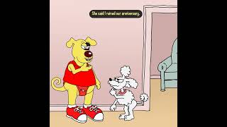 Underwear Dog ruined his anniversary with Fifi [upl. by Alf]