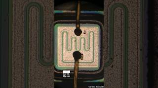 Inside of a 2N5416 transistor electronics microscope [upl. by Auhsaj]