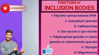 Functions of Inclusion Bodies [upl. by Llorrac]