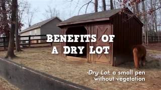 Benefits of a Dry Lot for Horses [upl. by Amuwkuhc]