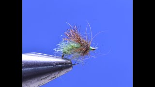 Classified Caddis Pupa [upl. by Hauhsoj]